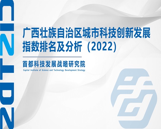 啊啊啊,好猛,舒服视频【成果发布】广西壮族自治区城市科技创新发展指数排名及分析（2022）